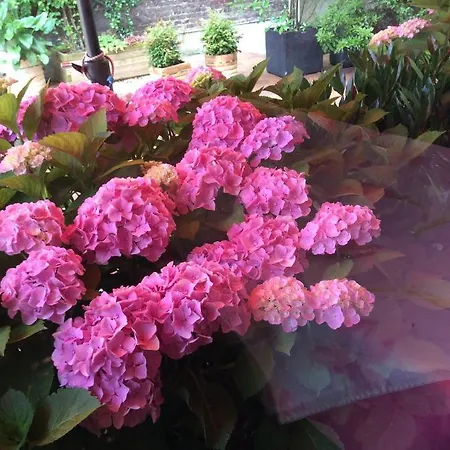 Le Cygne Hotel Gournay-en-Bray